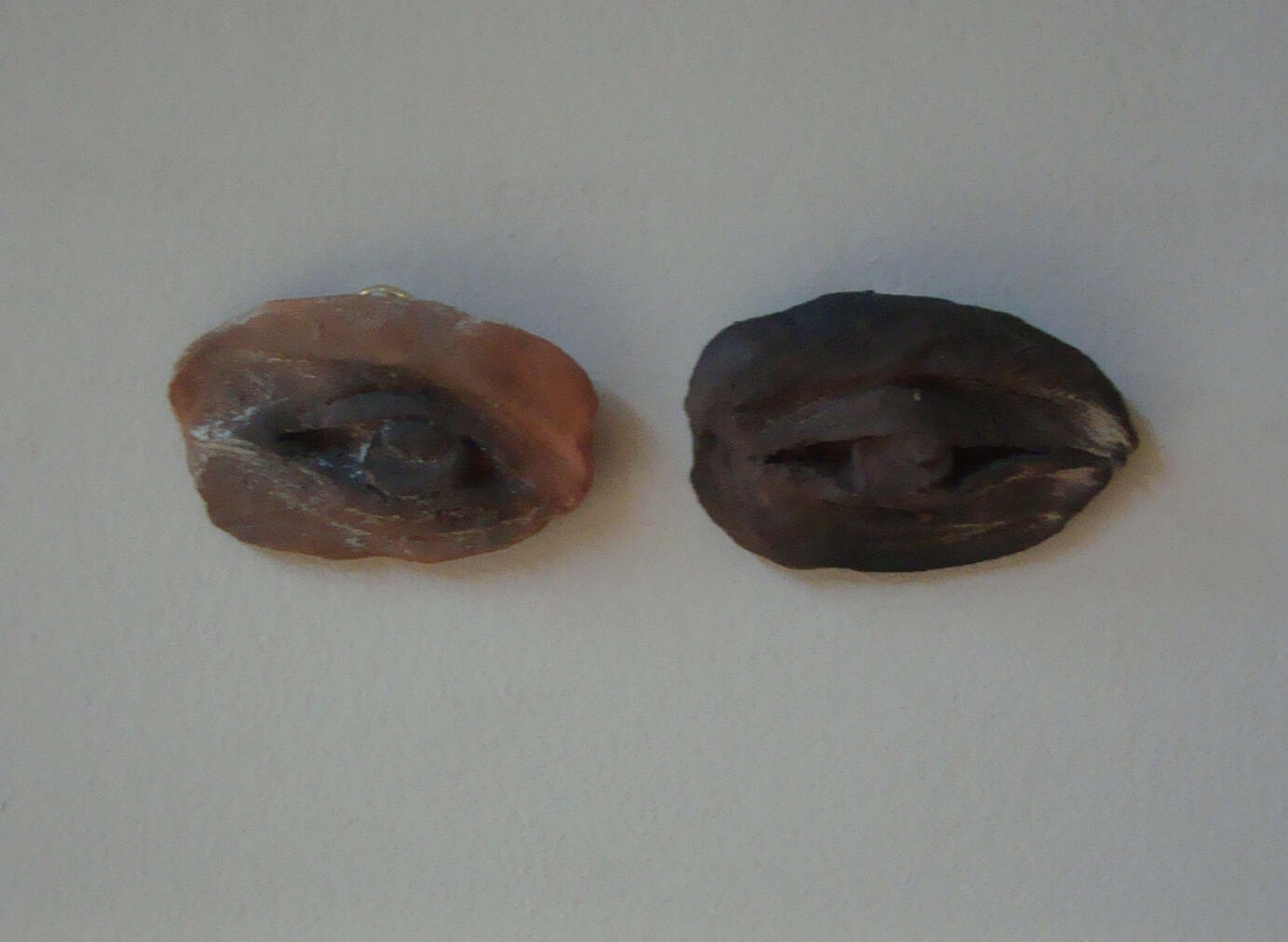 Untitled (Thamesis Eyes) Open-fired foraged river clay 4.5 x 17 x 3 cm 2026